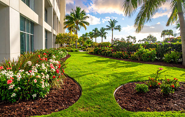 building-mulch Office building mulch feature