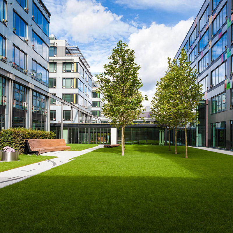 Corporate Park Lawn