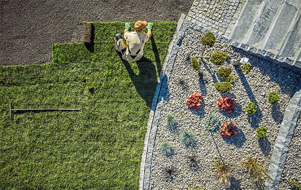 landscaping-laying-turf Service Landscaping