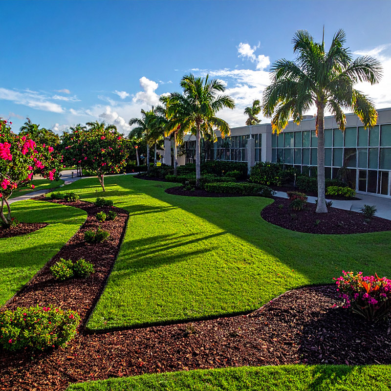 Office lawn mulching